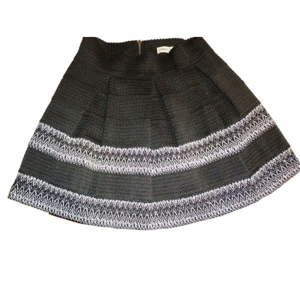 Ginger G Fit Flare Pleated Skirt Black Silver Metallic Accent Medium Whimsigoth